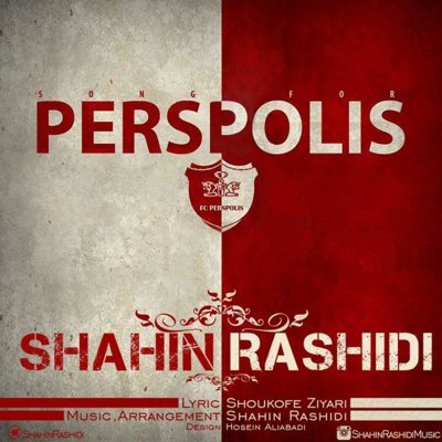 Shahin Rashidi