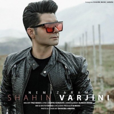 Shahin Varjini