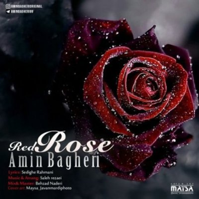 Amin Bagheri