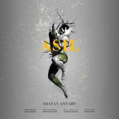 Shayan Anvary