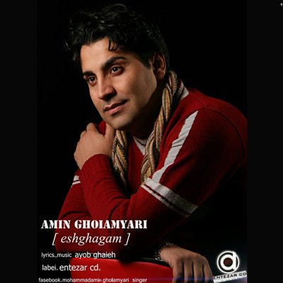 Amin Gholamyari