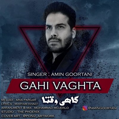 Amin Goortani