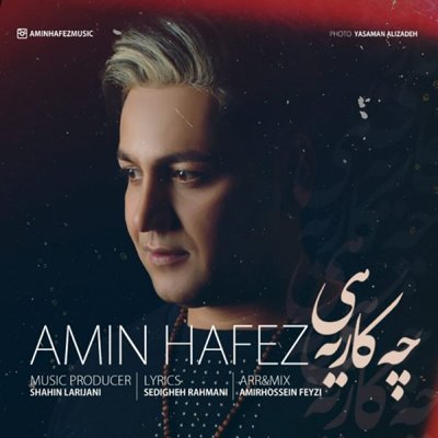 Amin Hafez