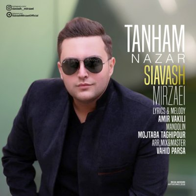 Siavash Mirzaei