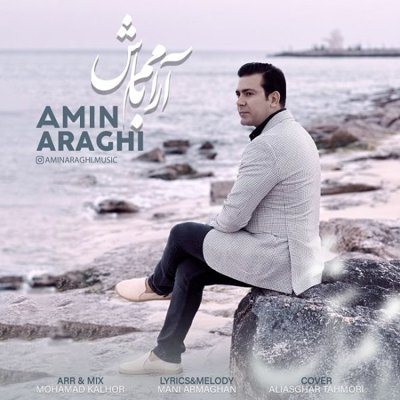 Amin Araghi