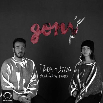 Tara Salahi