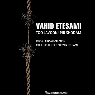 Vahid Etesami