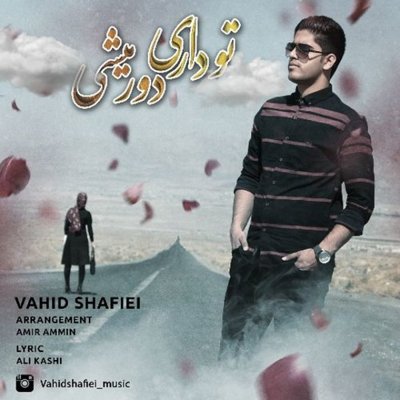 Vahid Shafiei