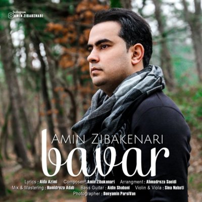 Amin Zibakenari