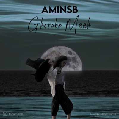 Aminsb
