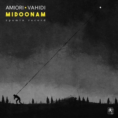 Amiori & Vahidi