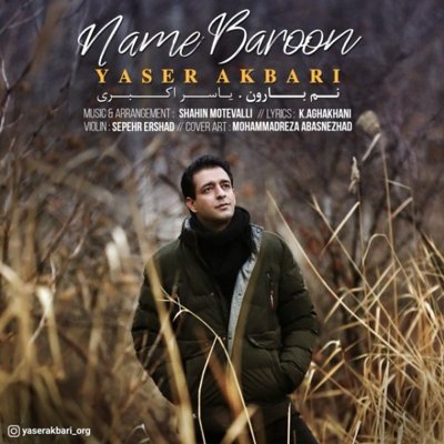 Yaser Akbari