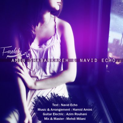 Amin Shabankareh & Navid Echo