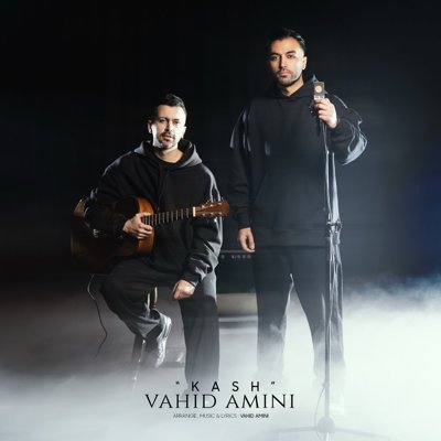 Vahid Amini