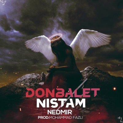 Nedmir