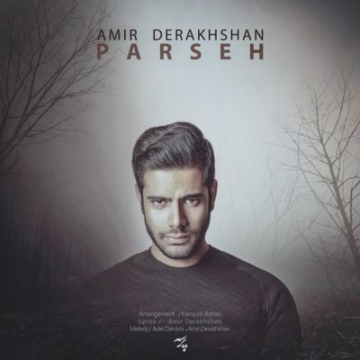 Amir Derakhshan