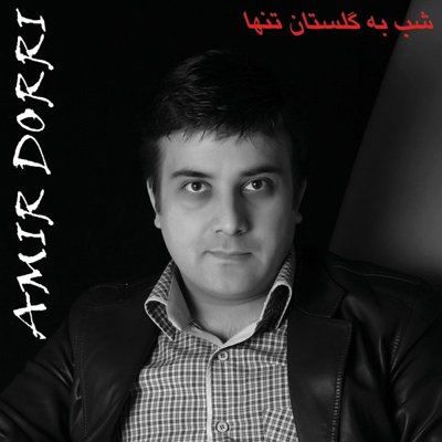 Amir Dorri