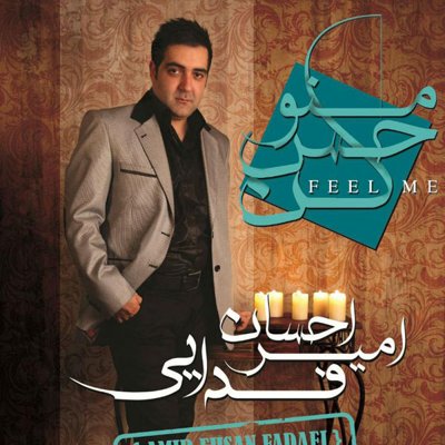 Amir Ehsan Fadaei