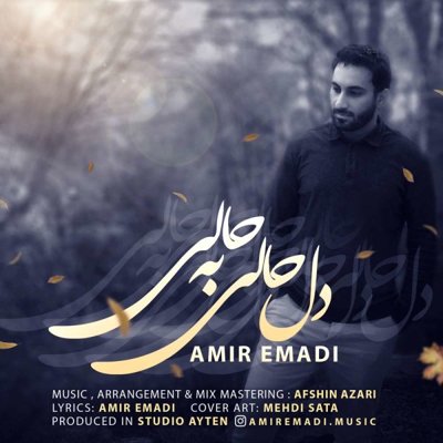 Amir Emadi