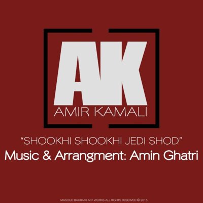 Amir Kamali