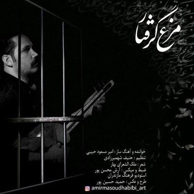 Amir Masoud Habibi