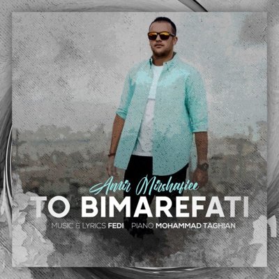 Amir Mirshafiee