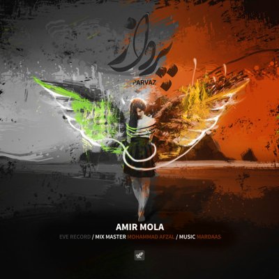 Amir Mola