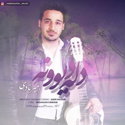 Amir Naderi