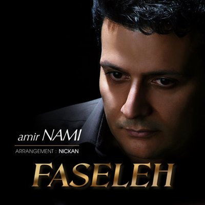 Amir Nami