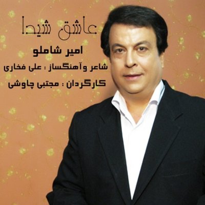 Amir Shamloo