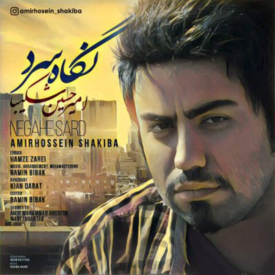 AmirHossein Shakiba