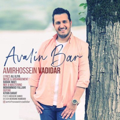 Amirhossein Vadidar