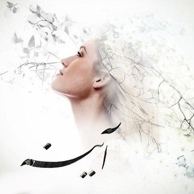 Amy Music