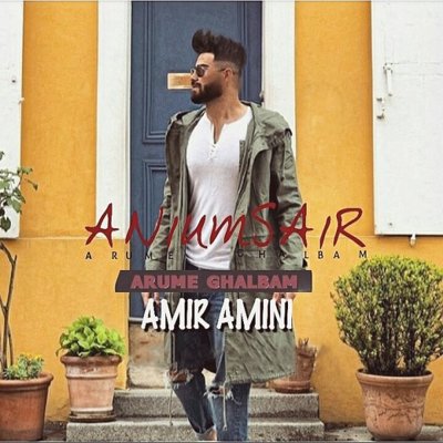 Aniumsair