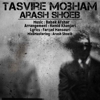 Arash Shoeib