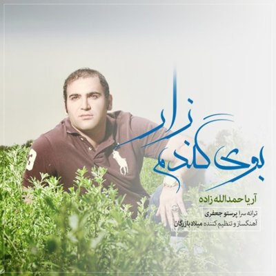 Aria Hamdollahzadeh