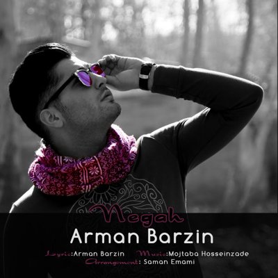 Arman Barzin