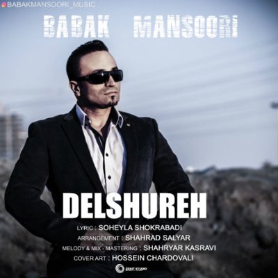 Babak Mansoori